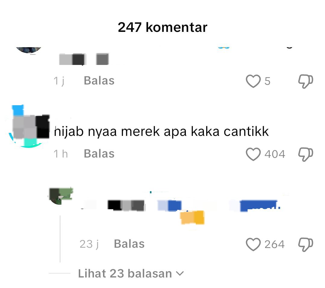 Kesalahan Berbahasa/Penulisan pada Salah Satu Komentar Tiktok